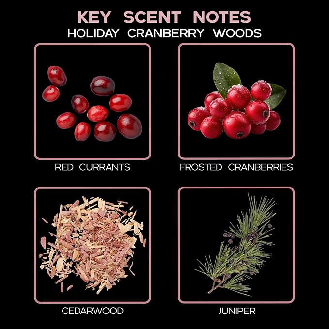 Reed Diffuser Set, Holiday Red Currant & Woods Scented Oil Diffuser with Sticks, Home Fragrance Accessories for Bathroom Shelf Decor, Aroma Diffusers for Home or Office Desk, USA Made