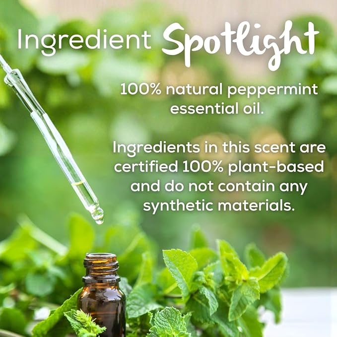 Scent Fill 100% Natural Peppermint Plug in Air Freshener, Scented Oil Refills, 2 Refills + Diffuser