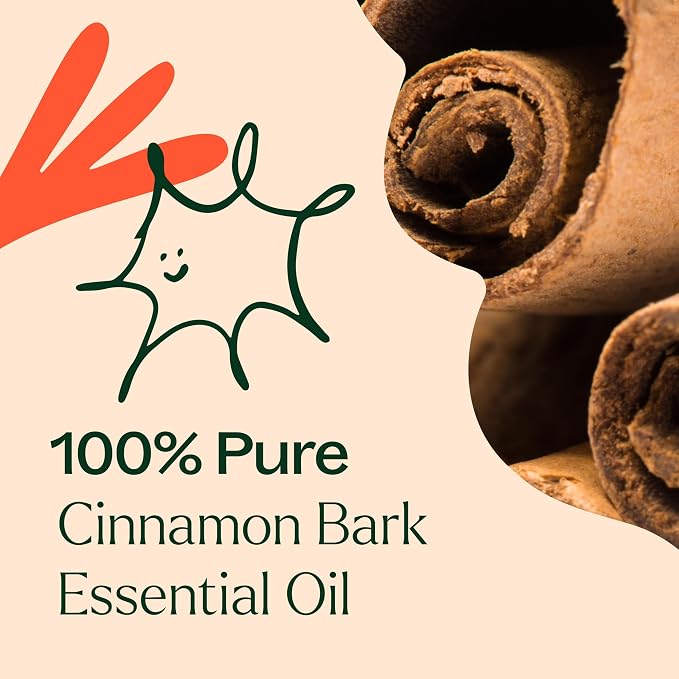 Plant Therapy Cinnamon Bark Essential Oil 10 mL (1/3 oz) 100% Pure, Undiluted, Cinnamon Oil for Diffuser, Spray, Candle Making, Spicy, Sweet Scent