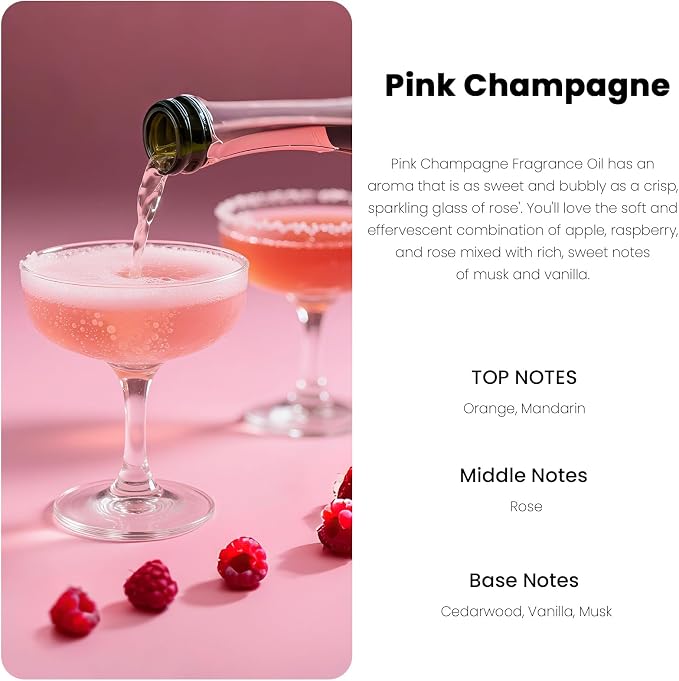 Car Air Freshener Hanging Diffuser – Long-Lasting Essential Oil Scent (Up to 60 Days) – Non-Toxic & Eco-Friendly – 2-Pack Auto Fresheners Made in USA