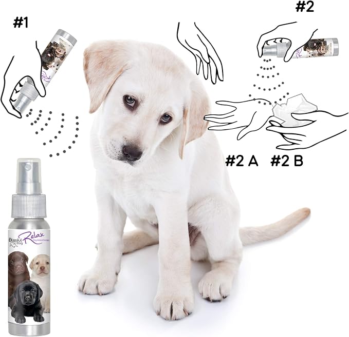 The Blissful Dog Labrador Retriever Relax Dog Aromatherapy Spray for Your Dog's Anxiety