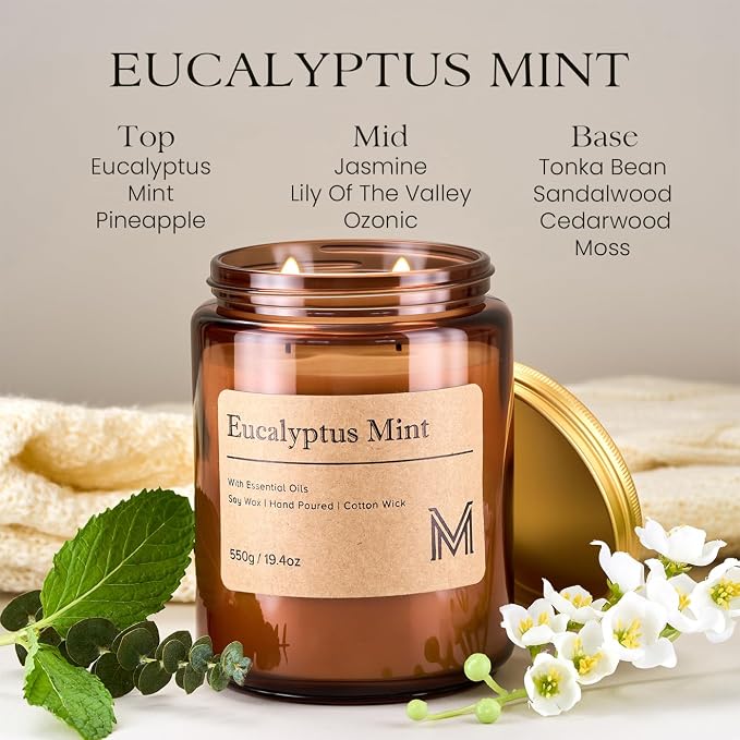 M&SENSE Eucalyptus Mint Scented Large Candle, 19.4oz Aromatherapy Candle for Home Fragrance, Natural Organic Soy Wax Long-Lasting for Stress Relief, Yoga, Gifting for Birthday, Housewarming