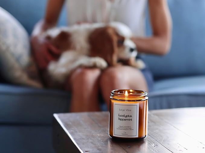 Organic Coconut Wax Aromatherapy Candle | Eucalyptus & Peppermint | Non-Toxic, Pet Safe, Allergy Friendly | Phthalate Free | Zero Waste Sustainable Gift