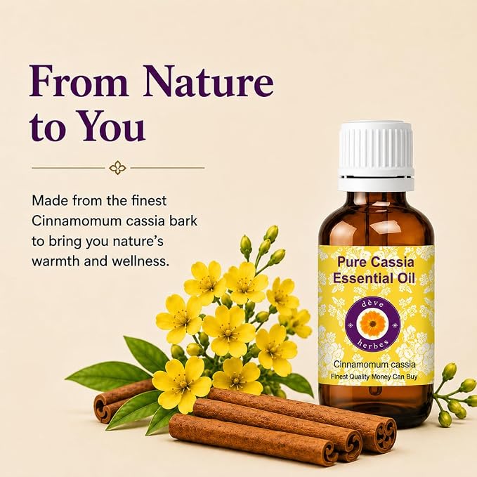 dève herbes Cassia Essential Oil (Cinnamomum Cassia) Pure | Non-Sticky | Non-Greasy | Lightweight | Men & Women | All Skin Types | Steam Distilled 30ml (1 oz)