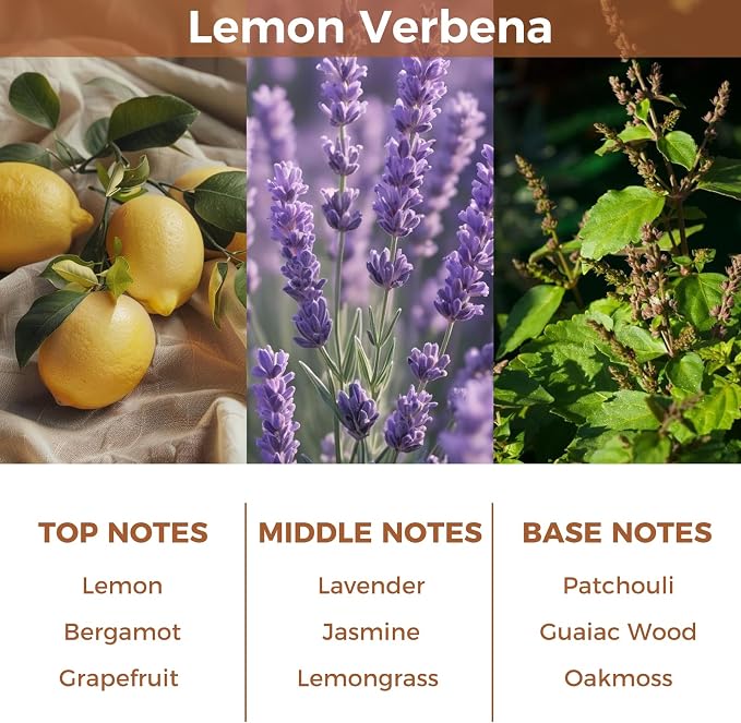 Reed Diffuser Set,Lemon Verbena Essential Scented Oil,100ml(3.38 oz) with 6 Reed Sticks,Long-Lasting Fragrance for Home, Bathroom & Office