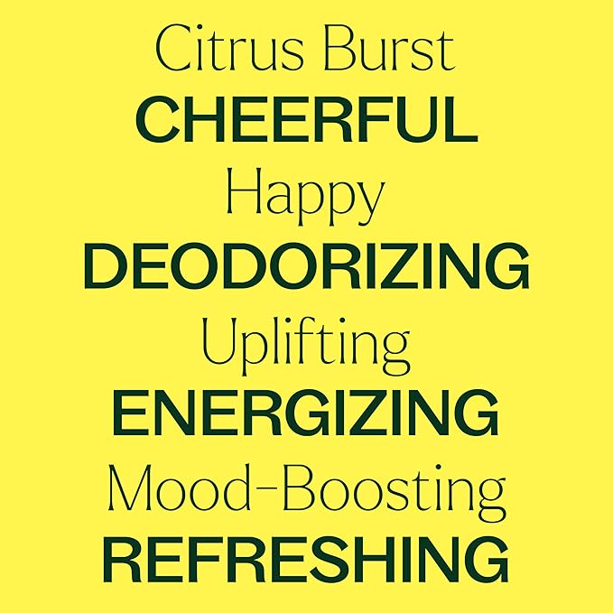 Plant Therapy Citrus Burst Essential Oil Blend, 30 mL (1 oz), Made with 100% Pure Essential Oils, Uplifting and Bright Scent, Great for Essential Oil Diffusers