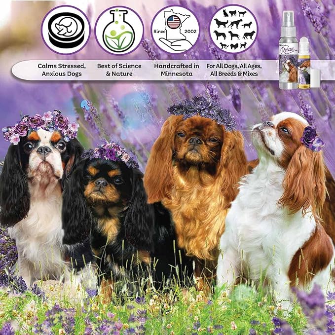 The Blissful Dog English Toy Spaniel Relax Dog Aromatherapy Spray for Your Dog's Anxiety