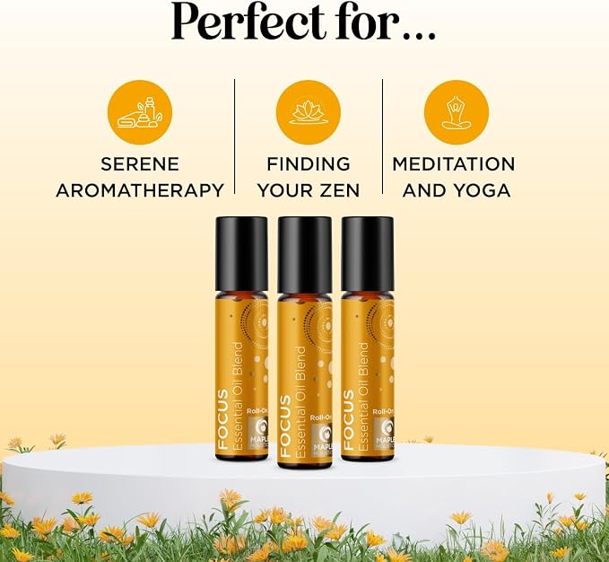 Focus Essential Oil Roll On - Aromatherapy Essential Oil Roller with Invigorating Pure Citrus and Mint Oils - Attention and Focus Essential Oil Blend with Eucalyptus Peppermint & Grapefruit (3 Pack)