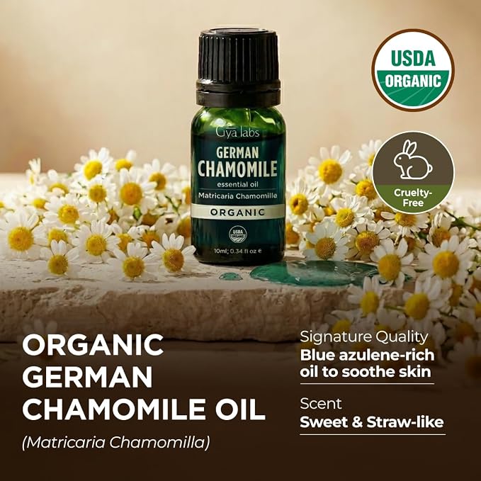 Gya Labs Organic German Chamomile Essential Oil - 0.34 Fl Oz - for Skin, Hair, Diffuser, Aromatherapy, DIY Candle Making Scents
