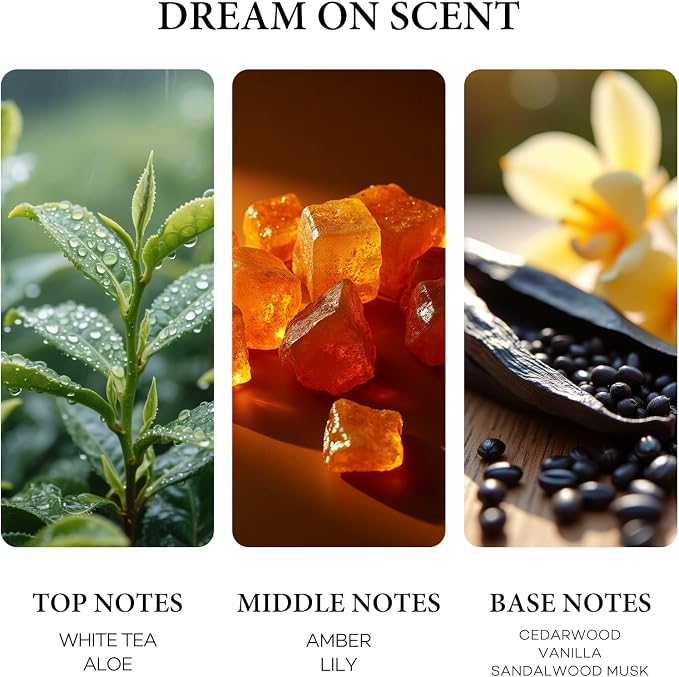 Purefittech Hotel Diffuser Oil Dream On Scent,Hotel Essential Oils for Home,Office, Spa,2 Pack 10 mL,0.34 fl oz Hotel Collection Diffuser Oil for Diffusers & Humidifiers,Made in USA