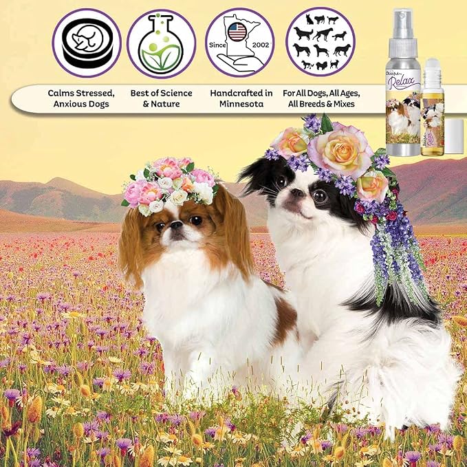 The Blissful Dog Japanese Chin Relax Roll-ON Aromatherapy for Dogs - Anxiety Relief for Dogs, 0.45-ounce roll-on