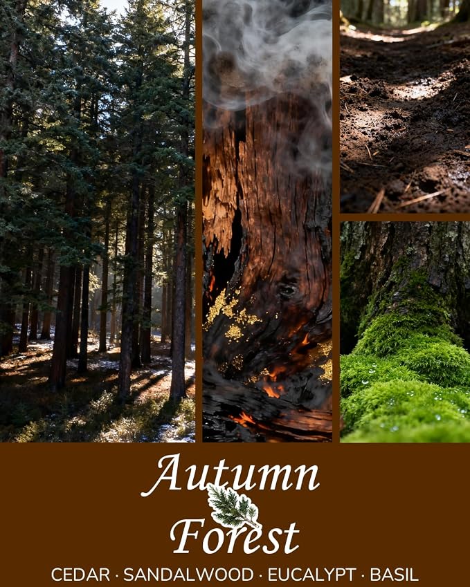 Aroma Gift for Women, Scented Candle for Home, Pine Autumn Forest 7.05 oz Soy Wax 40 Hour Burn Time, Long Lasting Jar Candle, Gifts for Christmas, Halloween, Mother's Day, Aromatherapy Candle