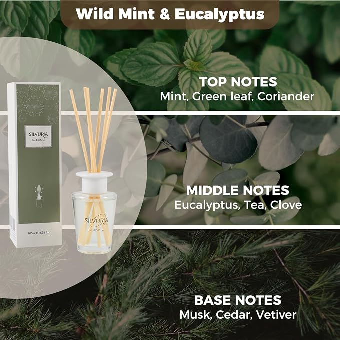Wild Mint & Eucalyptus Essential Scented Oil Reed Diffuser Set,100ml(3.38fl.oz) with 6 Reed Sticks,Home Fragrance for Office,Bedroom,Bathroom,Flame Free