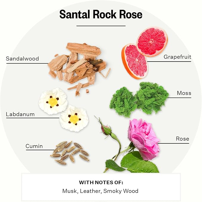 Apotheke Luxury Scented Oil Reed Diffuser Liquid Refill (Santal Rock Rose) - Premium Home Fragrance Diffuser Refill Set with Sticks