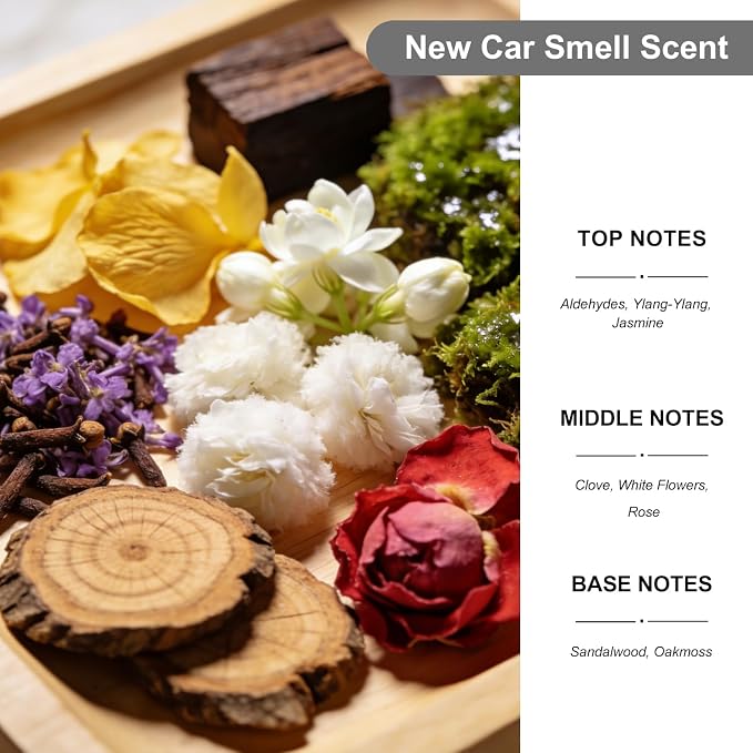 2-Pack Car Air Fresheners, Car Deodorizer, New Car Smell Air Freshener Long Lasting Hanging Car Air Freshener for Men and Women, Car Scent Diffuser by VUTOLLOSA
