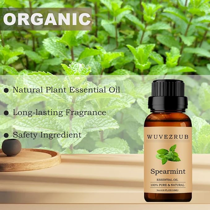 Spearmint Essential Oils 10ML, 100% Pure and Natural Essential Oil for Aromatherapy Diffuser - 0.33 Fl Oz/Spearmint