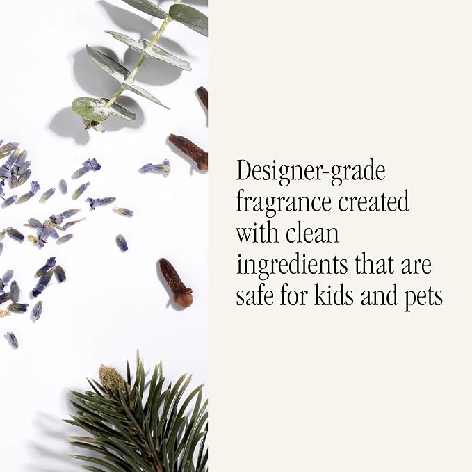 Pura & Brooklyn Candle Studio Home Scent Refill - Smart Home Air Diffuser - Long-Lasting Luxury Fragrance per Refill - Home Essential - Clean & Safe Diffuser Fragrance - 2 Pack, Tulum