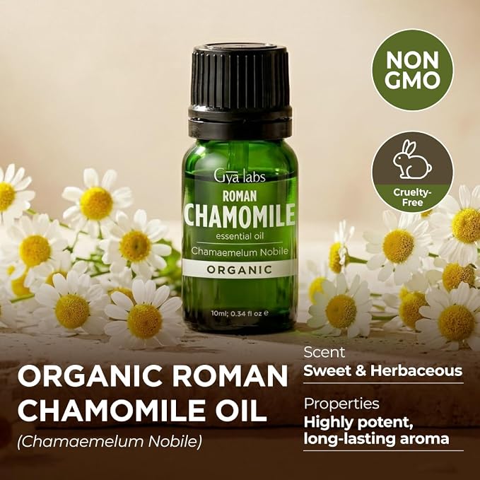 Gya Labs Organic Roman Chamomile Essential Oil - 0.34 Fl Oz - for Skin, Hair, Diffuser, Aromatherapy, DIY Candle Making Scents
