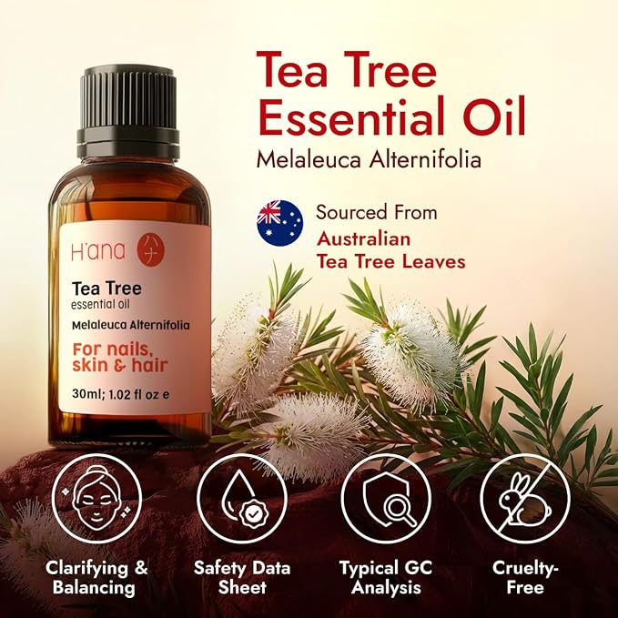H’ana Tea Tree Essential Oil - 1.02 Fl Oz - Australian Melaleuca Alternifolia for Toenails - for Aromatherapy, Hair, Scalp, Skin, Nails and DIY Candle & Soap Making