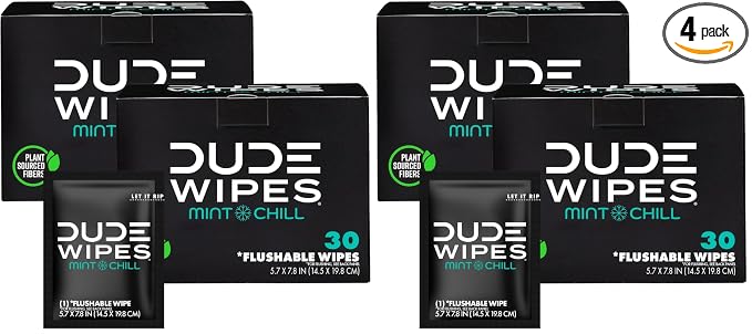 DUDE Wipes On-The-Go Mint Chill Travel Wipes-Extra-Large Adult Flushable Wipes - Infused with Tea Tree Oil, Vitamin E, and Aloe - Septic and Sewer Safe,30 Count (Pack of 4)