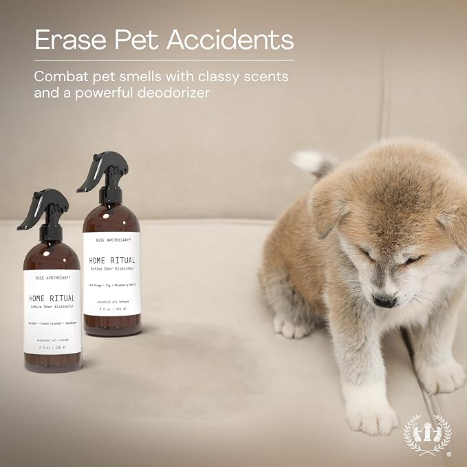 Muse Apothecary Home Ritual Active Odor Eliminator Spray - Furniture Deodorizer Spray & Bathroom Odor Eliminator for Home - Essential Oil Air Freshener - 8oz, Cara Orange + Fig + Blackberry Vanilla
