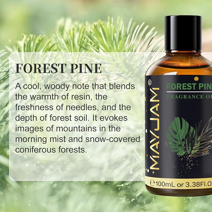 Forest Pine Fragrance Oil Essential Oil, MAYJAM 3.38FL.OZ Forest Pine Oil for Diffusers for Home, Long Lasting Scented Oils for Soap Candle Making - 100ML