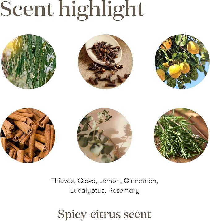 Thieves 5ml Essential Oil by Young Living Essential Oils