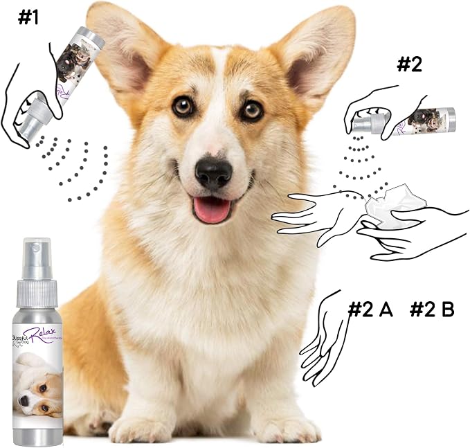 The Blissful Dog Corgi Relax Dog Aromatherapy Spray for Your Dog's Anxiety