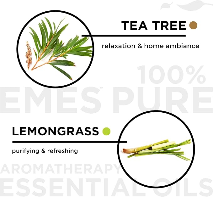 EMES Pure Essential Oil Gift Set | Natural Therapeutic Grade Oils for Diffuser, Skin Care, Massage, Home Fragrance, Humidifier, Aromatherapy | Proudly Made in The USA | 6 Pack
