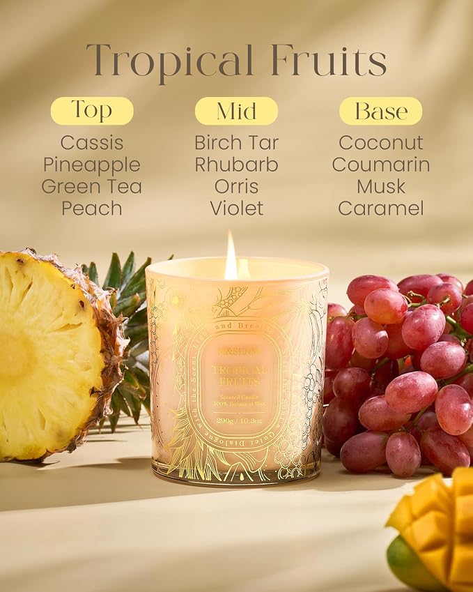 M&SENSE Fruit Party Soy Candle, Summer Relax 55H Gift | Berries & Citrus Party Mix, Clean Soy Wax Slow Burn, Kitchen Odor Exterminator, Family Safe, Reusable Golden Stamped Jar