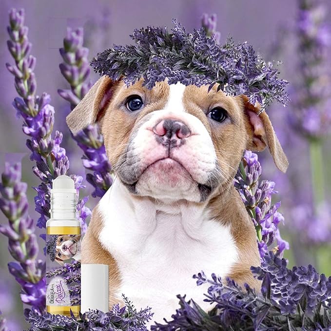The Blissful Dog American Bulldog Relax Roll-ON Aromatherapy for Dogs - Anxiety Relief for Dogs