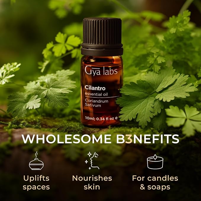 100% Pure Cilantro Essential Oil - 0.34 Fl Oz - Cilantro Oil for Hair, Skin, Diffuser, Aromatherapy & DIY Candle Making Scent