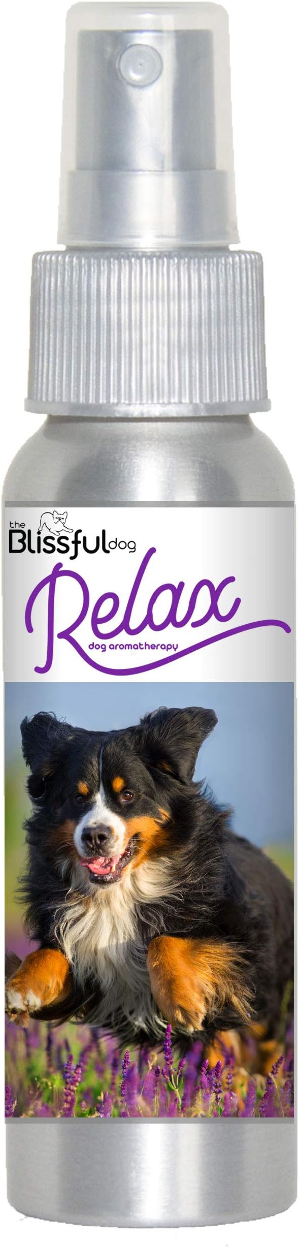 The Blissful Dog Bernese Mountain Dog Relax Dog Aromatherapy Spray for Anxiety