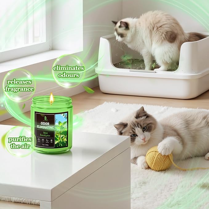 Mint Eucalyptus Odor Eliminating Highly Fragranced Candle, Eliminates 95% of Bathroom & Pet Odors Quickly, Air Freshing Scented Candles, Soy Candle Gifts for Women Men, 7oz