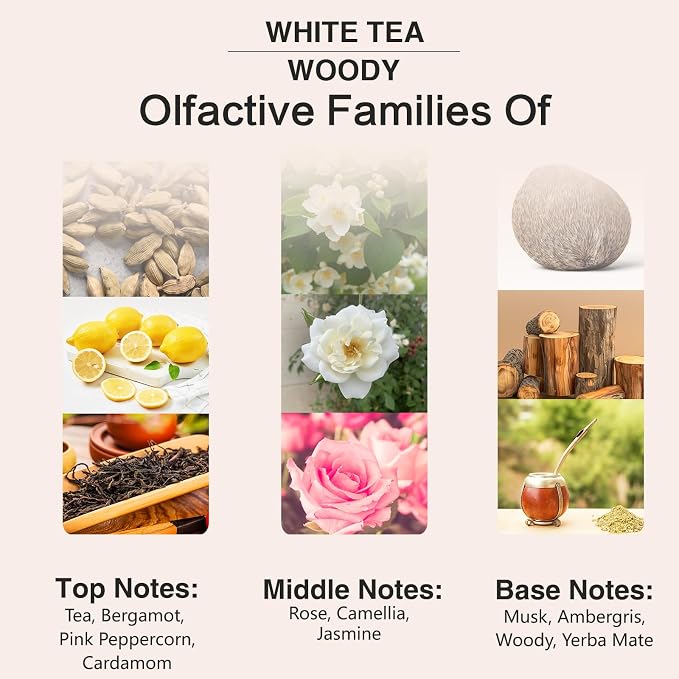 PHATOIL 3.38FL.OZ White Tea Fragrance Oils for Aromatherapy, Essential Oils for Diffusers for Home, Perfect for Diffuser, Yoga, Skin Care, DIY Candle and Soap Making - 100ml