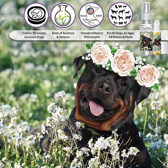 The Blissful Dog Rottweiler Relax Dog Aromatherapy Spray for Your Dog's Anxiety