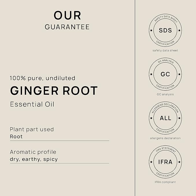 VINEVIDA Dried Ginger Root Essential Oil 32 oz - Undiluted Ginger Root Oil 32 oz - Ginger Root Candle Oil Scent - DIY Candle Scents for Candlemaking - Bulk Essential Oil for Soap Making Safe for Skin