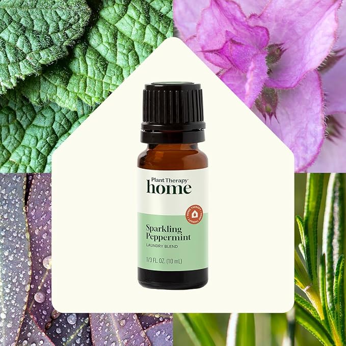 Plant Therapy Home Sparkling Peppermint Laundry Essential Oil Blend 10 mL (1/3 oz), 100% Pure & Undiluted, Fresh Minty Scent for Washer & Dryer, Natural Laundry Scent Booster