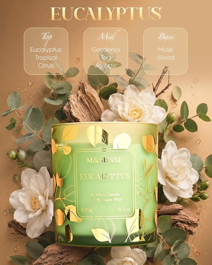 M&SENSE Eucalyptus Soy Candle, 8.1oz 42-Hour No Toxin Slow Burning, Cool Spa Aromatheraphy, Summer Shower Wellness Gift