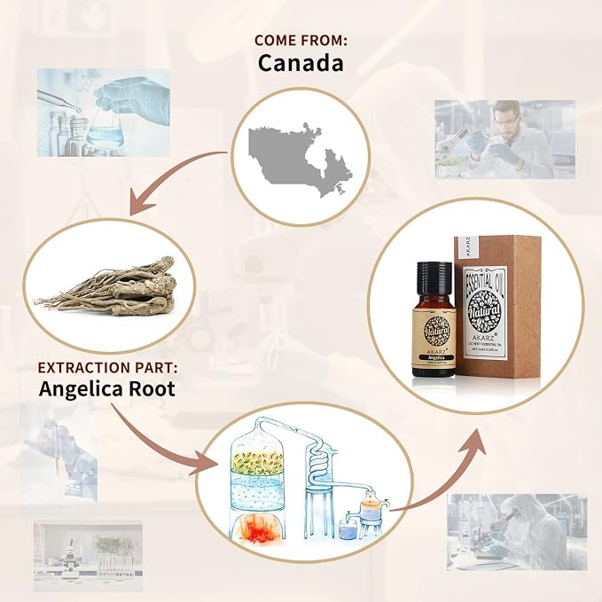 AKARZ Angelica Essential Oil Natural Organic Pure Angelica Oil for Skin Body Hair Care, Candle,Soap,Making, DIY,Massage Aroma 0.34 Fl Oz (10ml)