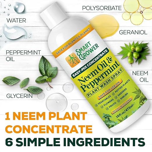 Neem Oil Spray for Plants with Peppermint Oil – for Indoor & Outdoor Plants, Gardens, & Houseplants– Best Value Refill 16 oz Concentrate Makes 2 Gallon RTU