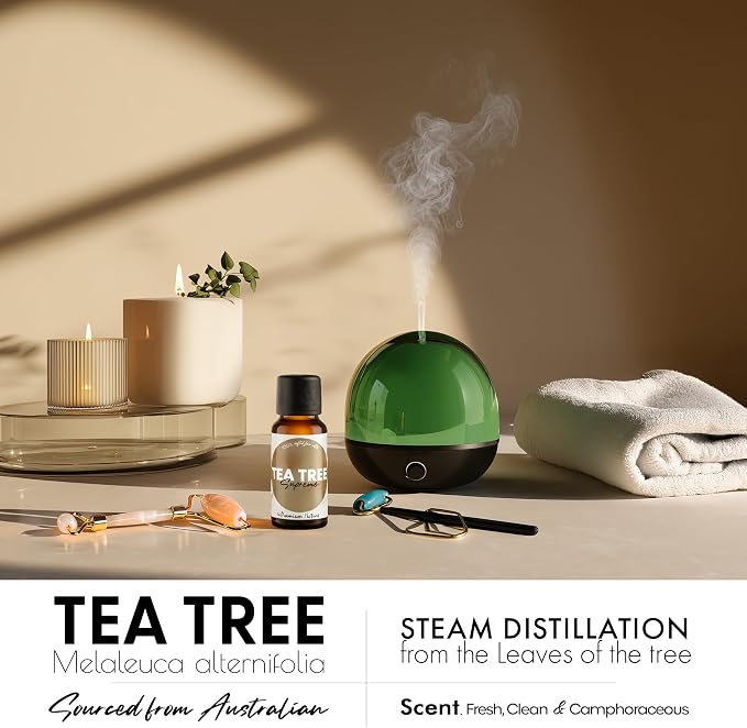Organic Australian Tea Tree Essential Oil | 100% Pure Melaleuca alternifolia Leaf Oil | Fresh Clean Herbal Aroma | for Diffuser, Candle Making & DIY Aromatherapy Blends, 0.34 fl oz