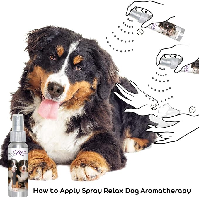 The Blissful Dog Bernese Mountain Dog Relax Dog Aromatherapy Spray for Anxiety