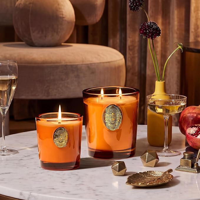 M&SENSE Large Two-Wick Soy Candle | Orange Goji & Neon Orange | 19.8 oz, 120H Burn Time | Luxury Scented Candle for Relaxation, Gifting, Home Décor | Ideal for Bedroom, Office, Party Ambiance