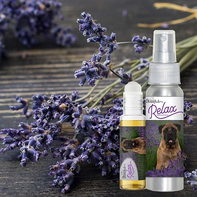 The Blissful Dog Bullmastiff Relax Dog Aromatherapy Spray for Your Dog's Anxiety