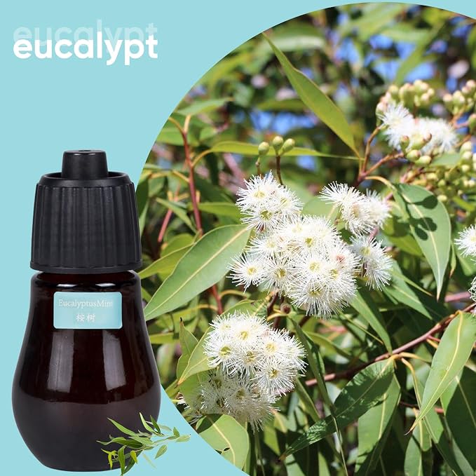 HAPPTWS Aromatherapy Essential Oil Set - 3-Piece Essential Oil Set in Three Flavors: Eucalyptus, Lemongrass, and Orange