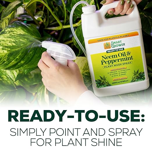 Neem Oil Spray for Plants with Peppermint Oil 128oz with Trigger Sprayer, Natural Plant Wash Made for Indoor and Outdoor Plants - 128oz Smart Grower