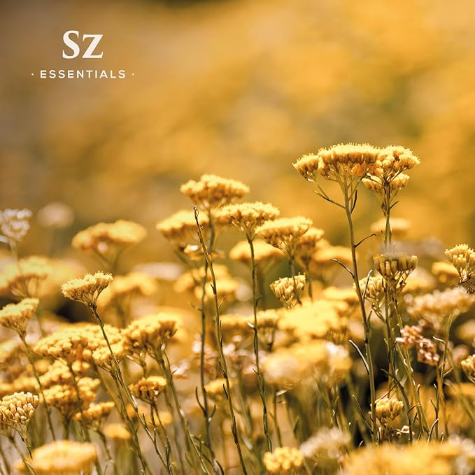 Helichrysum 100% Pure, Essential Natural Oil - Extracted from Helichrysum Italicum Immortelle - Pleasant & Sweet Scent with Floral Overtones - Therapeutic Grade & Vegan - 0.17oz (5ml)