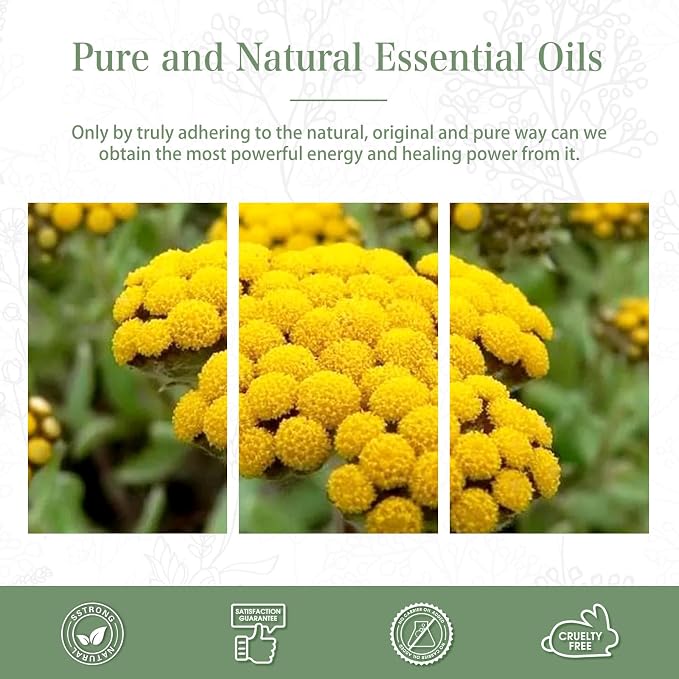 Helichrysum 3.38fl.oz Essential Oil, PHATOIL Pure Aromatherapy Oils for Diffuser, Humidifier, Perfect for DIY Soap, Candle, Bath Bombs Making(100ml)