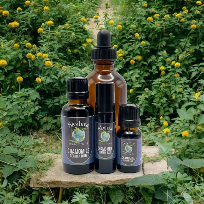 Chamomile Blue (German) Essential Oil- 10ml